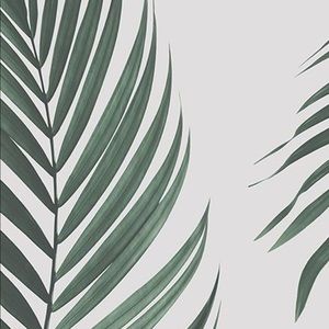 Meet your Posher, Hayley